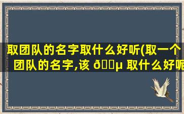 取团队的名字取什么好听(取一个团队的名字,该 🌵 取什么好呢)